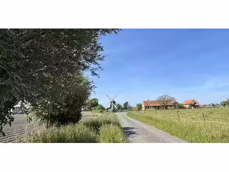 maison à vendre à eggewaartskapelle à partir de € 495.000 avec 3 chambres à coucher