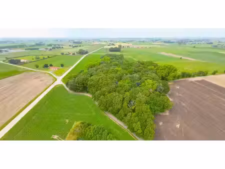bois à vendre à diksmuide pour € 189.000