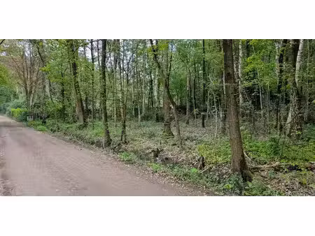 terrain à vendre à essen pour € 195.000