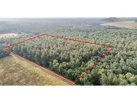 bois à vendre à opglabbeek pour € 124.000