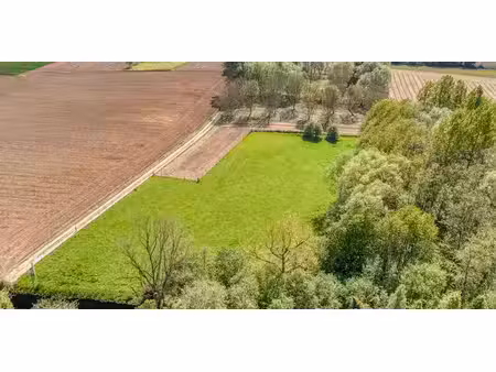 prairie à vendre à denderhoutem pour € 45.000