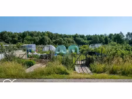 terrain agricole à vendre à vinderhoute pour € 145.000