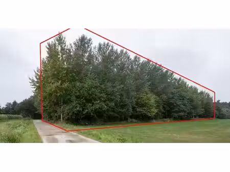 terrain agricole à vendre à neerpelt à partir de € 32.000