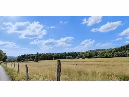 terrain agricole à vendre à la gleize pour € 111.000