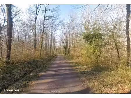 terrain boisé-taillis sous futaie / 4 150 m² - lignorelles (près chablis/auxerre)