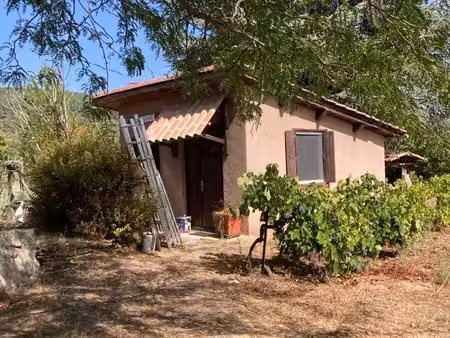 cabanon à louer ds jardin
