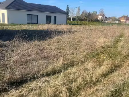 terrain constructible