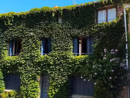 charmante maison de village