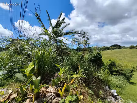 terrain a vendre