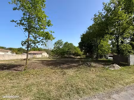 terrain constructible