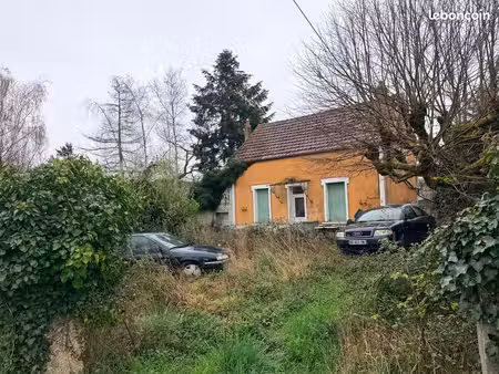 petite maison de campagne avec grand terrain la perche 18200