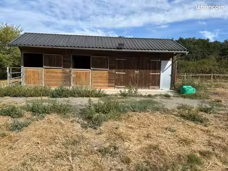 terrain avec boxes chevaux