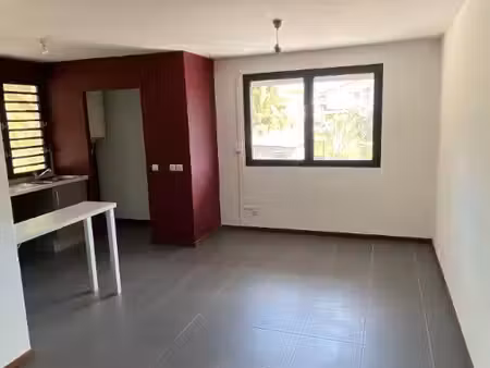 appartement 1 pièce 45 m²