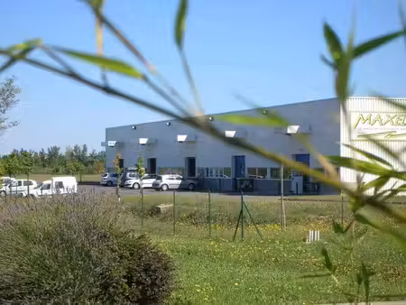 location local d’activités carbonne 31390 250m²