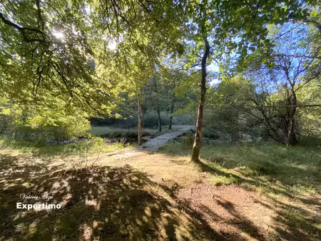 le soulié :terrain de 16ha