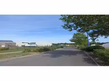 vente terrain souvigne 37330 25323m²