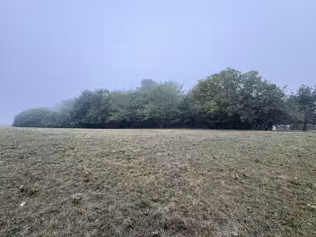 un bel écrin de verdure pour votre projet en périgord noir