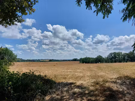 terrain constructible parisot 2672 m2
