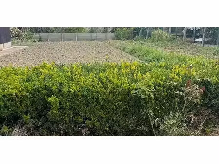 terrain à bâtir à vendre à oplinter pour € 135.000