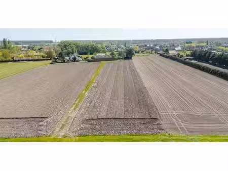 terrain agricole à vendre à moerkerke pour € 149.000