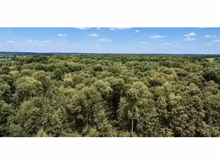 bois à vendre à erpion pour € 132.500