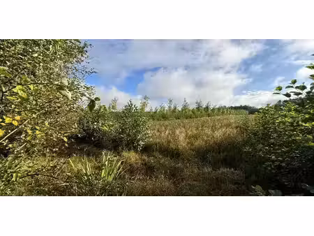 bois à vendre à balen pour € 145.000