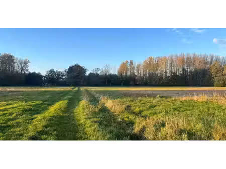 terrain agricole à vendre à herselt pour € 145.000