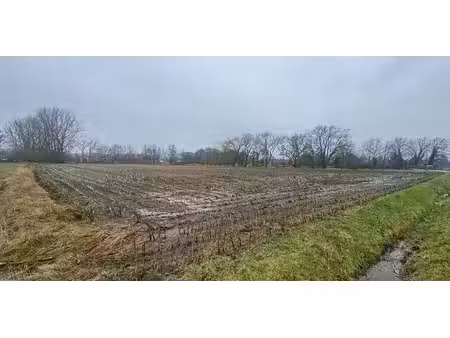 terrain agricole à vendre à beerzel pour € 140.000
