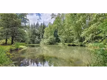 bois à vendre à mussy-la-ville pour € 149.000