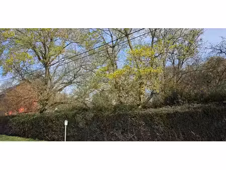 terrain à bâtir à vendre à mont-saint-andré pour € 165.000