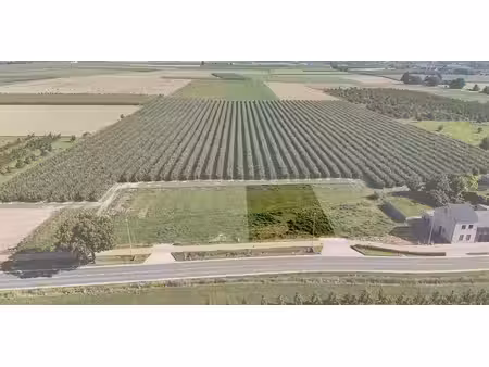terrain à vendre à sint-truiden pour € 165.000