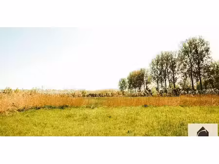 prairie à vendre à idegem pour € 175.000