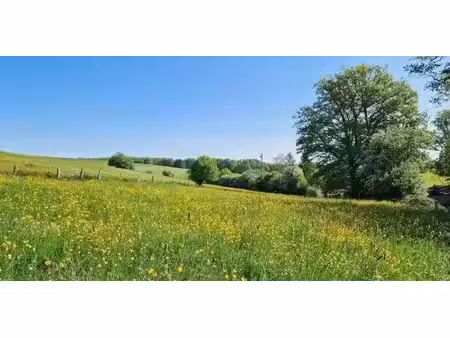 terrain à bâtir à vendre à les hayons pour € 175.000
