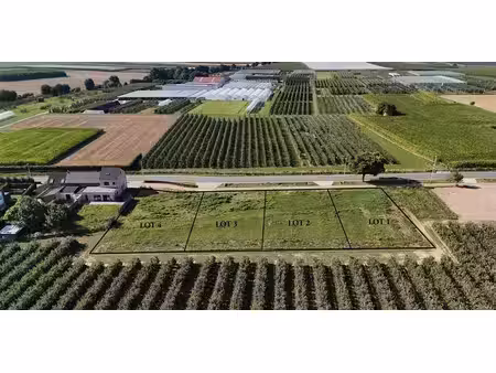 terrain à vendre à sint-truiden pour € 175.000