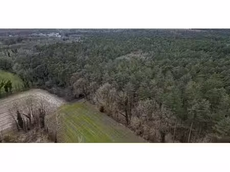 bois à vendre à as pour € 16.000