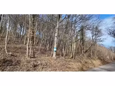 terrain à vendre à bomal pour € 99.000