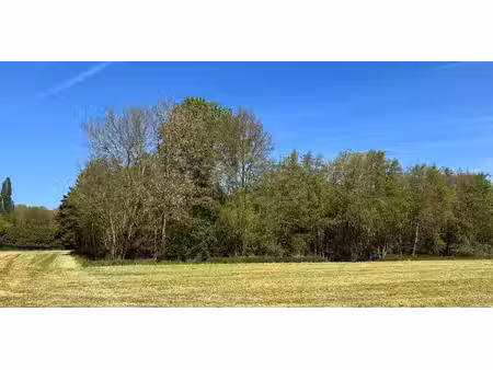 sous option - bois à vendre à hemptinne