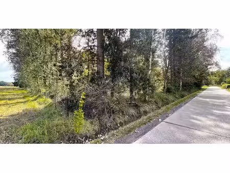bois à vendre à schriek pour € 18.500