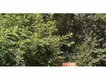 terrain de loisirs à vendre à westmeerbeek pour € 55.000