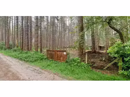 bois à vendre à gierle pour € 45.000