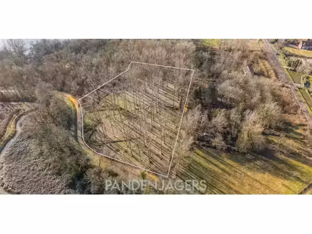 bois à vendre à walem pour € 80.000