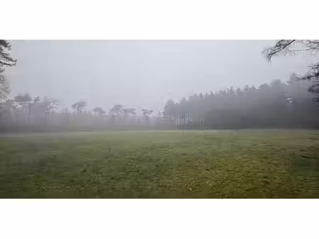 bois à vendre à neerpelt pour € 85.000