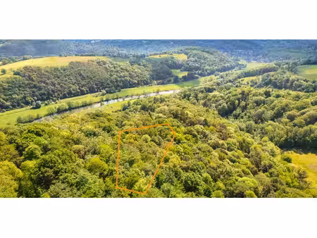 bois à vendre à plainevaux pour € 35.000