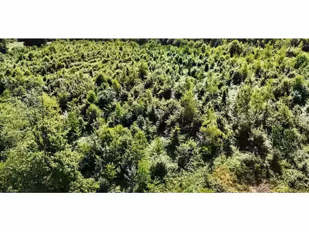 bois à vendre à franchimont pour € 35.500