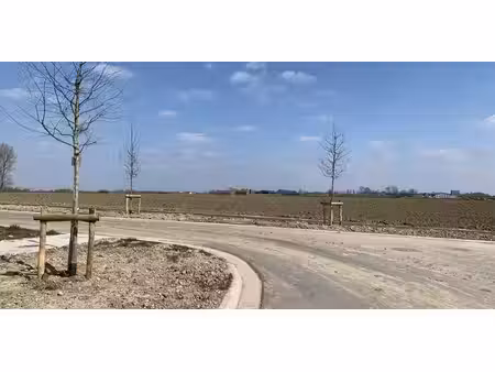 bouwgronden gebroeders faesstraat poperinge (watou)