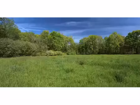 prairie à vendre à rillaar pour € 125.000