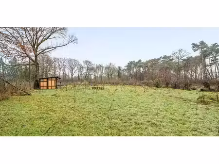 prairie à vendre à balen pour € 29.900