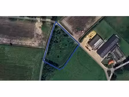 prairie à vendre à brecht pour € 37.000