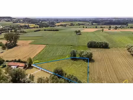 sous option - prairie à vendre à zandbergen
