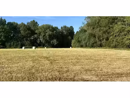 sous option - prairie à vendre à gingelom